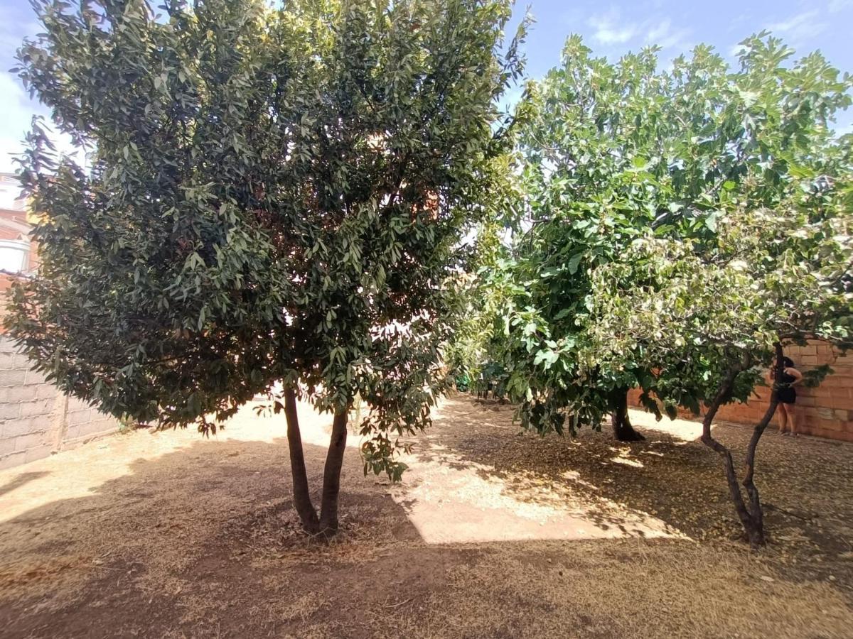 Vivienda Rural Los Iberos M&M, Кастельяр-де-Сантистебан Экстерьер фото
